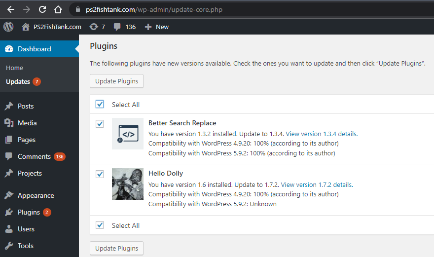 Updating WordPress Plugins